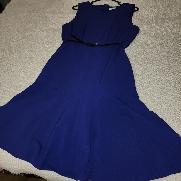 Calvin Klein Beautiful Blue Belted Sleeveless Pleated Dress - Picture 3 of 16